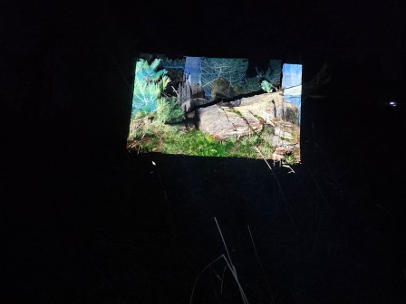 Essais de projections