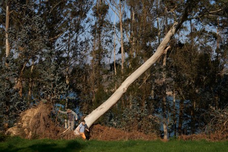 Déambulation et de prises de vues dans le parc (©Léa Molinier)
