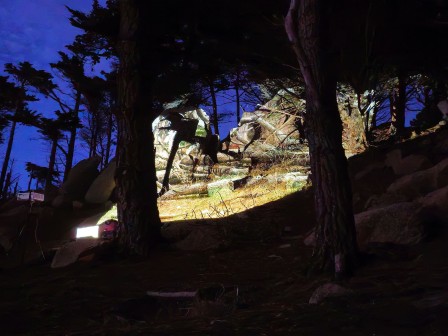 Projection nocturne pour réaliser « Dioramas »