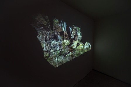 Projection vidéo « Dioramas »