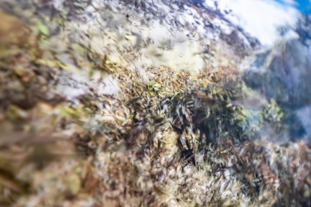 « Catastase », gros plan sur les impressions