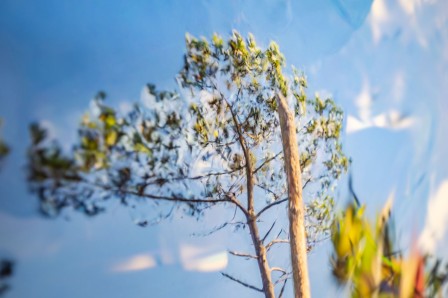 « Catastase », gros plan sur les impressions