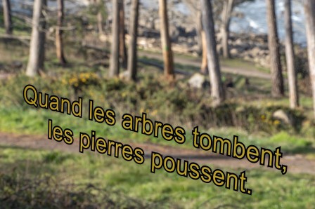 « Dialogue » présenté sur les vitres de la galerie