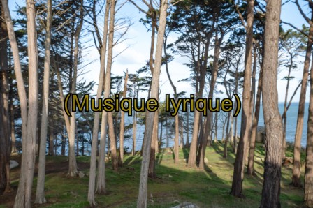 « Dialogue » présenté sur les vitres de la galerie