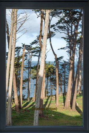 « Dialogue » présenté sur les vitres de la galerie