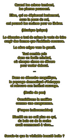 Textes affichés sur les vitres de la galerie pour l'installation « Dialogue »