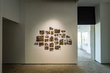 « Herbier », 24 impressions sur plexiglass