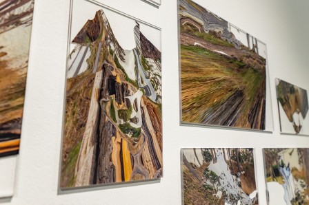 « Herbier », zoom sur les impressions