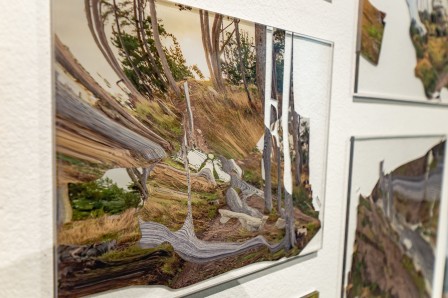 « Herbier », gros plan sur une des impression