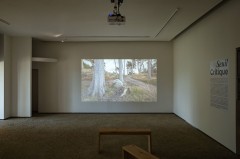 « Le réel se souvient mal » vidéo projetée sur un des murs de l'exposition