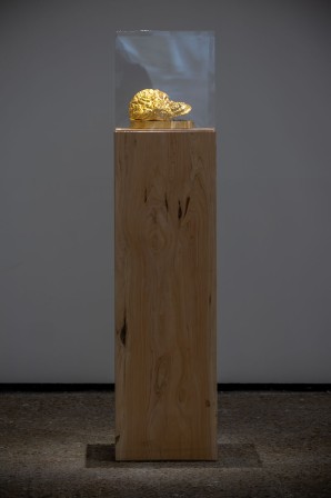 « Reliquaire », sculpture présentée sous cloche sur son socle ne bois massif