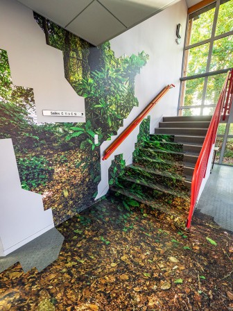 Fungus Coloniæ - Installation au Lycée Victor Hugo, Hennebont - par Thomas Daveluy