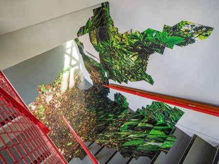 Fungus Coloniæ - Installation au Lycée Victor Hugo, Hennebont - par Thomas Daveluy