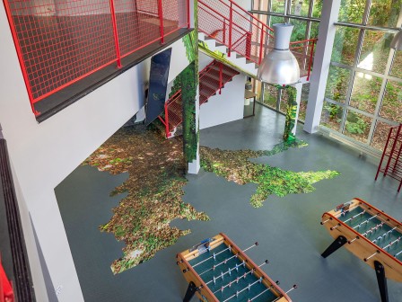 Fungus Coloniæ - Installation au Lycée Victor Hugo, Hennebont - par Thomas Daveluy