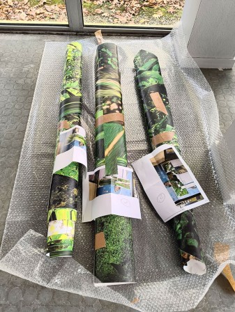 Étape 5 : collages sur place