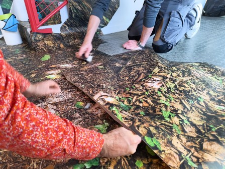 Étape 5 : collages sur place