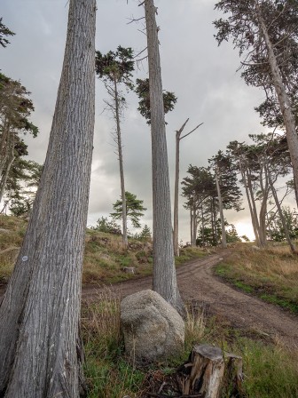 Photo en septembre 2025