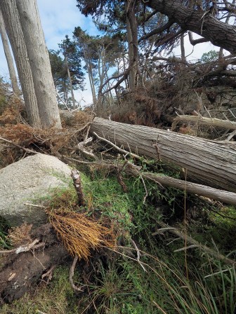 Photo en septembre 2024