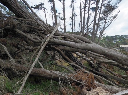 Photo en septembre 2024