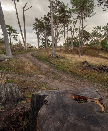 Photo en septembre 2025