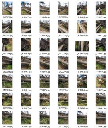 Les nombreuses photos prises lors de la première visite