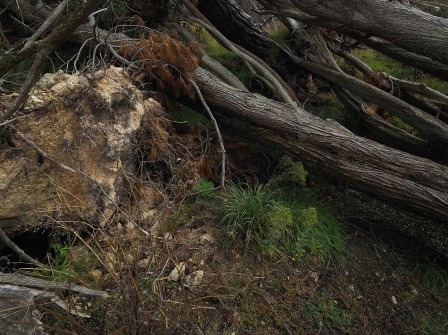 Zoom sur une des photos