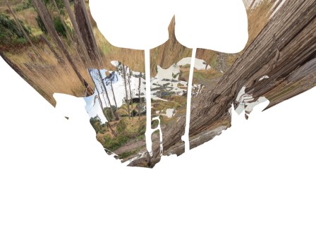 Résultat de la projection avec l'image anamorphosée