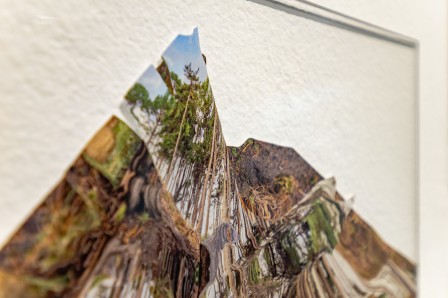 « Herbier », vue rapprochée