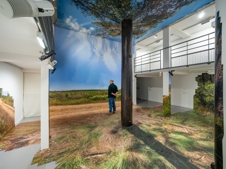 Pin des Landes - Sauvage Manière - ©Thomas Daveluy, Guillaume Lepoix - Lorient 2024
