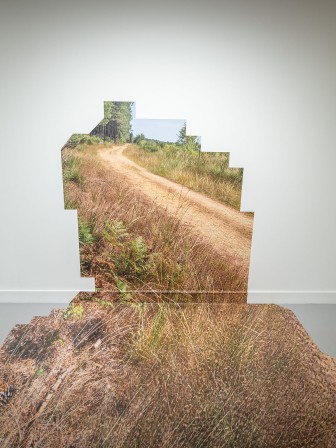 Pin des Landes - Sauvage Manière - ©Thomas Daveluy, Guillaume Lepoix - Lorient 2024