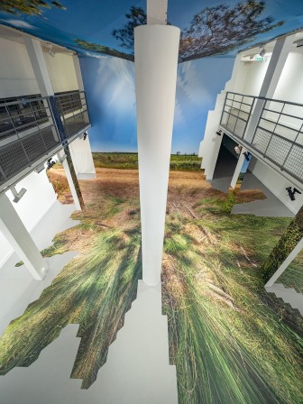 Pin des Landes - Sauvage Manière - ©Thomas Daveluy, Guillaume Lepoix - Lorient 2024
