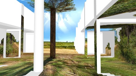 Pin des Landes - Thomas Daveluy, Guillaume Lepoix, 2024