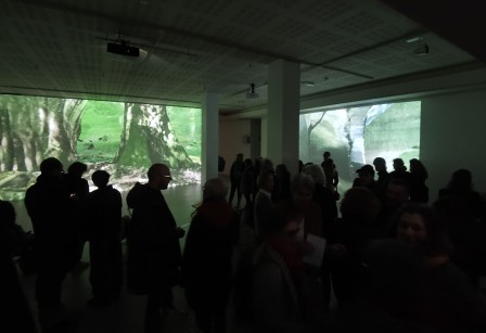 Terrarium - Sauvage Manière - ©Thomas Daveluy, Guillaume Lepoix - Lorient 2024