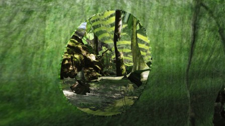 Terrarium - Thomas Daveluy, Guillaume Lepoix, 2018-2024