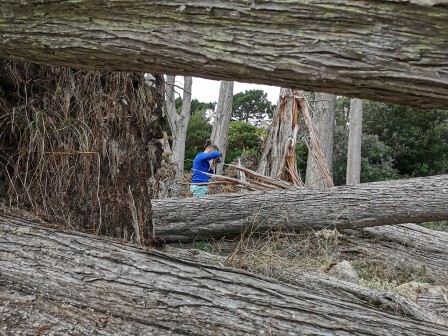 Découverte du parc après la tempête